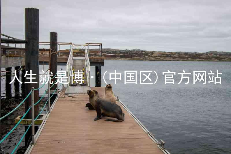 人生就是博·(中国区)官方网站